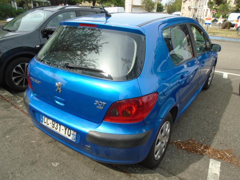 Ciel de toit PEUGEOT 307 Diesel